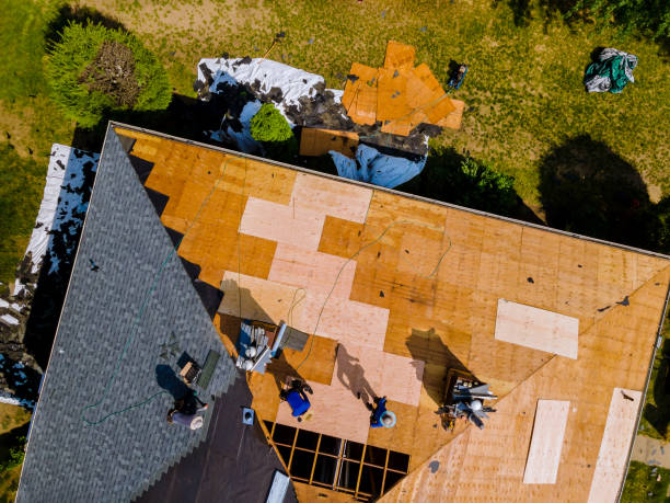 Best Flat Roof Repair Services  in Glendale, MS