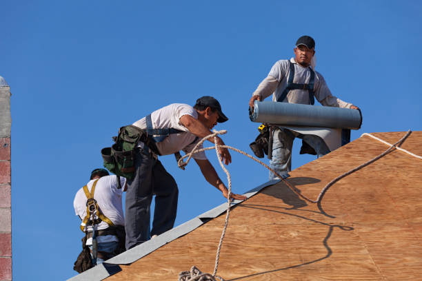 Gutter Installation and Roofing in Glendale, MS